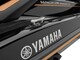 Yamaha FX Cruiser SVHO