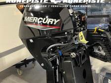 Mercury F20 ELPT EFI