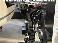 Mercury F20 ELPT EFI