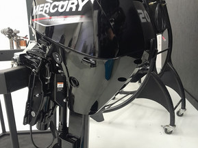 Mercury F20 ELPT EFI