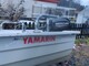 Yamarin 440R Big Fish 440r vaiht