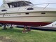 Marino Barracuda