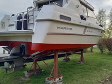Marino Barracuda