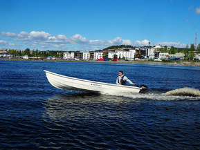 Viima 53