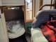 Sea Ray 270 DA