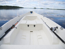 Näpsä 500 SV
