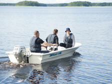 Näpsä 430 SV