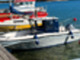 Sea Pro 210
