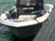 Sea Pro 210