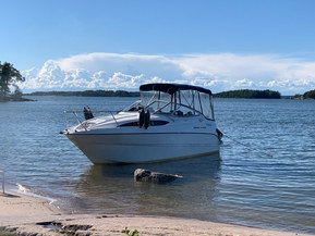 Bayliner 245 Ciera