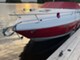 Rinker Muu malli 230 DC