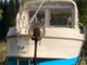 Bella 703