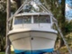 Bella 703