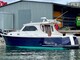 Arvor Guernsey 34
