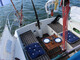 Sunwind 31