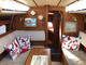 Sunwind 31