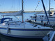 Sunwind 31