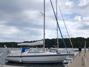 Sunwind 31