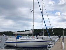 Sunwind 31