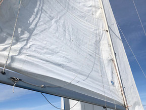 Sunwind 31