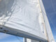 Sunwind 31