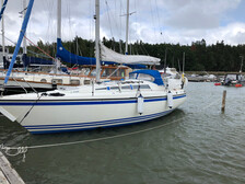 Sunwind 31