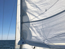 Sunwind 31