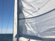 Sunwind 31