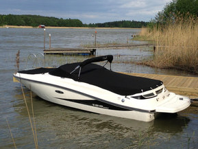 Sea Ray 190 SPX