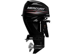 Mercury F 40 ELPT EFI