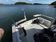 Targa 30
