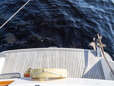 Tristan 345 Flybridge