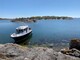 Sargo