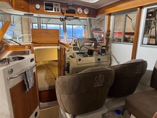 Sargo 28