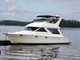 Bayliner Muu malli 3988