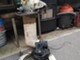 Volvo Penta 2003