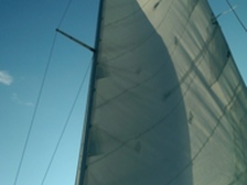 Sunwind 26