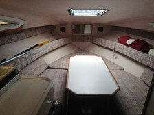 Sea Ray 220 DA