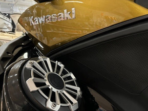 Kawasaki Ultra 310 LX