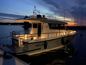 Sargo 31