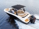 Bayliner V20 OB
