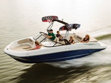 Bayliner 