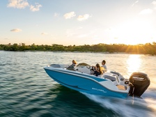 Bayliner M17