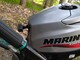 Mariner Optimax 35