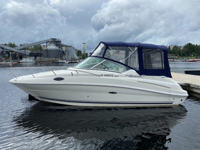Sea Ray 245 sundancer