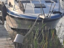 Bayliner 2455 Sunbridge