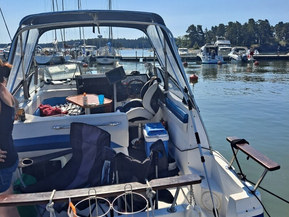 Bayliner 2455 Sunbridge