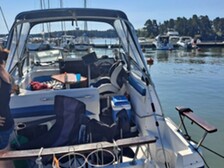 Bayliner 2455 Sunbridge