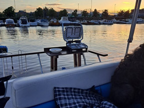 Bayliner 2455 Sunbridge