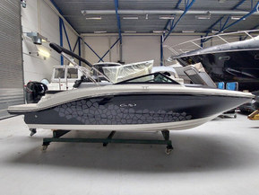 Sea Ray 190 SPOE